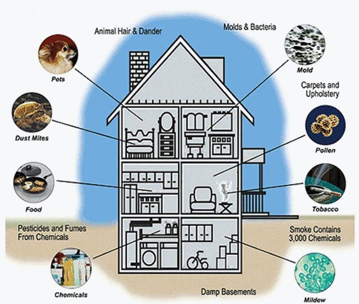 Bacteria Testing Arizona