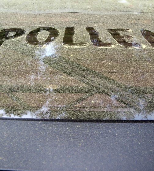 Pollen testing Arizona